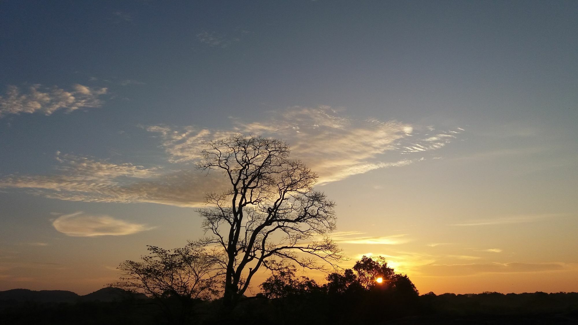 Mahoora Tented Safari Camp Udawalawe Luaran gambar
