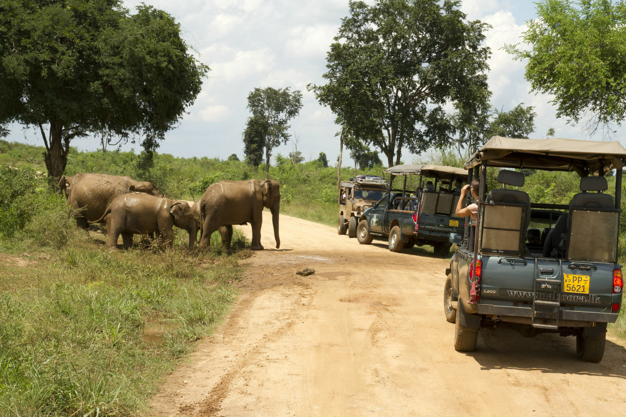 Mahoora Tented Safari Camp Udawalawe Luaran gambar
