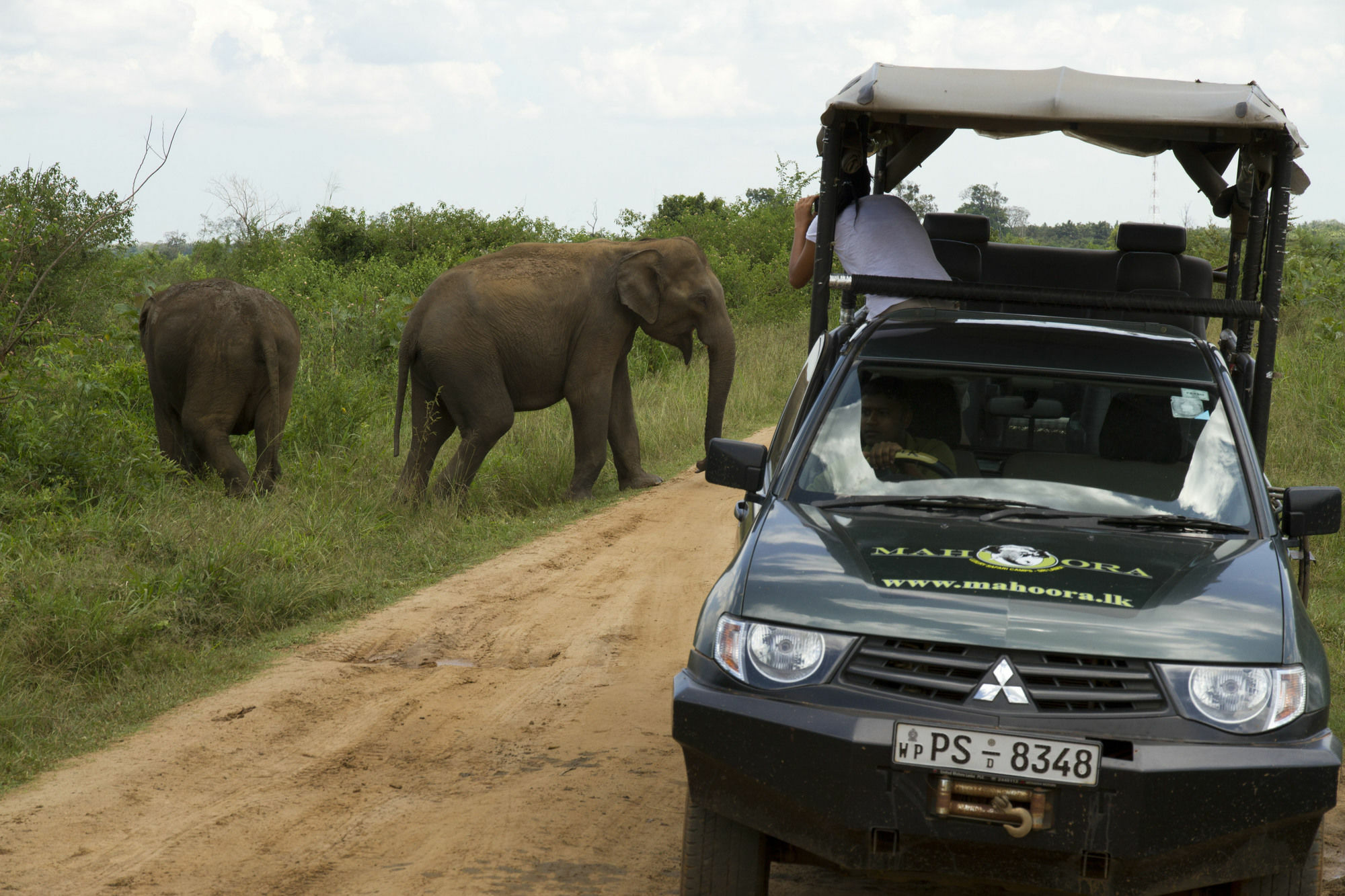 Mahoora Tented Safari Camp Udawalawe Luaran gambar
