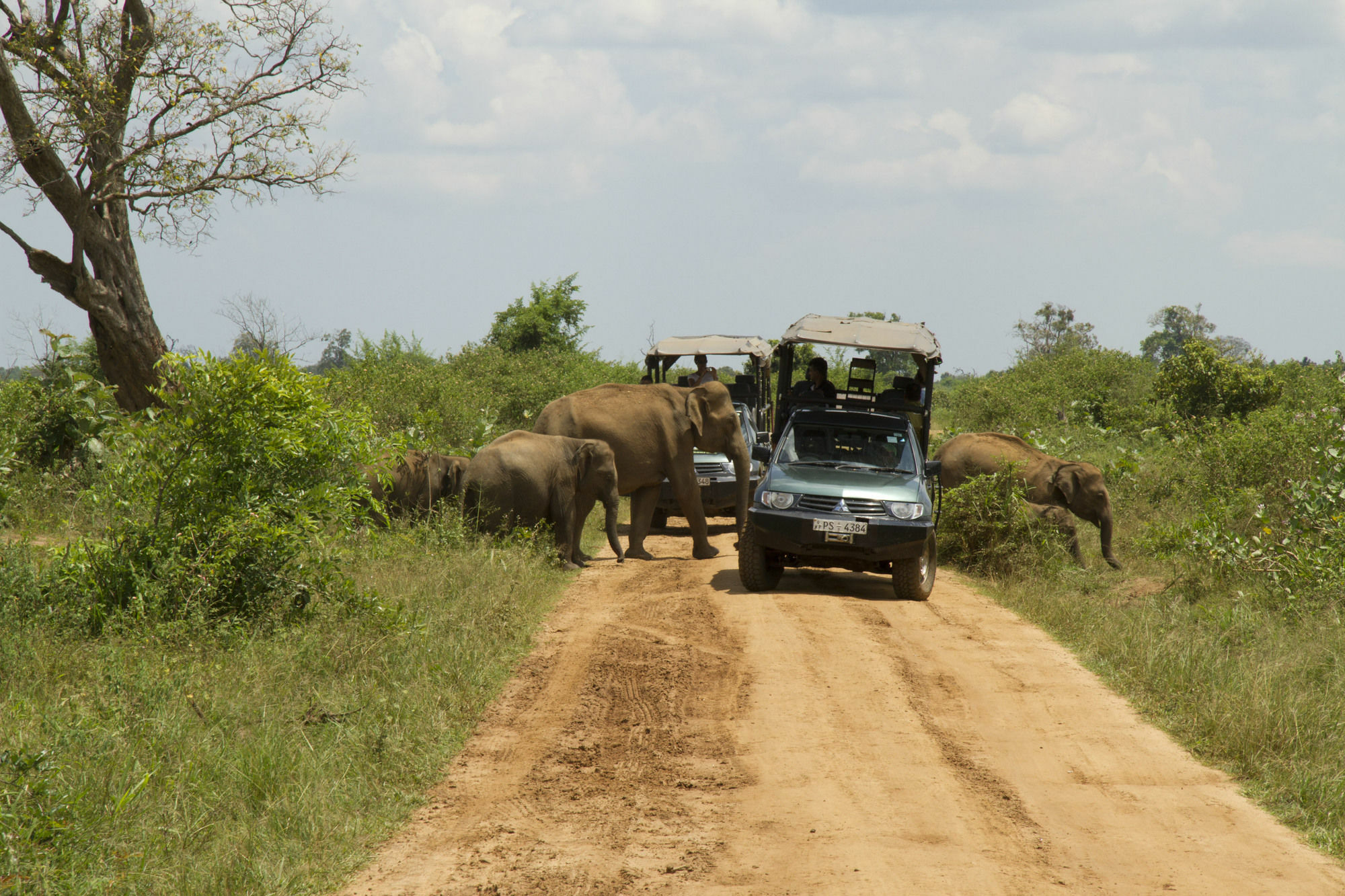 Mahoora Tented Safari Camp Udawalawe Luaran gambar