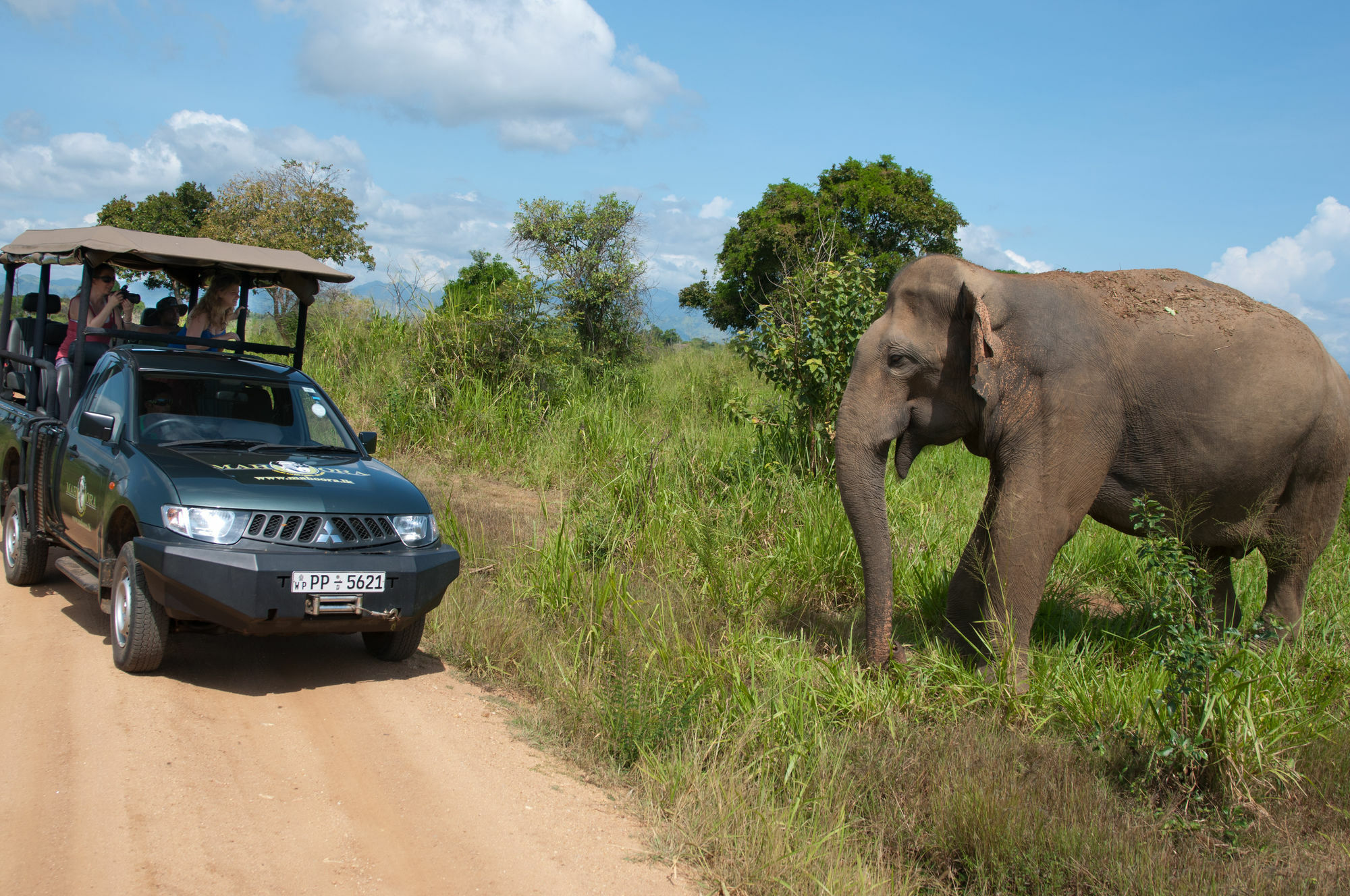 Mahoora Tented Safari Camp Udawalawe Luaran gambar