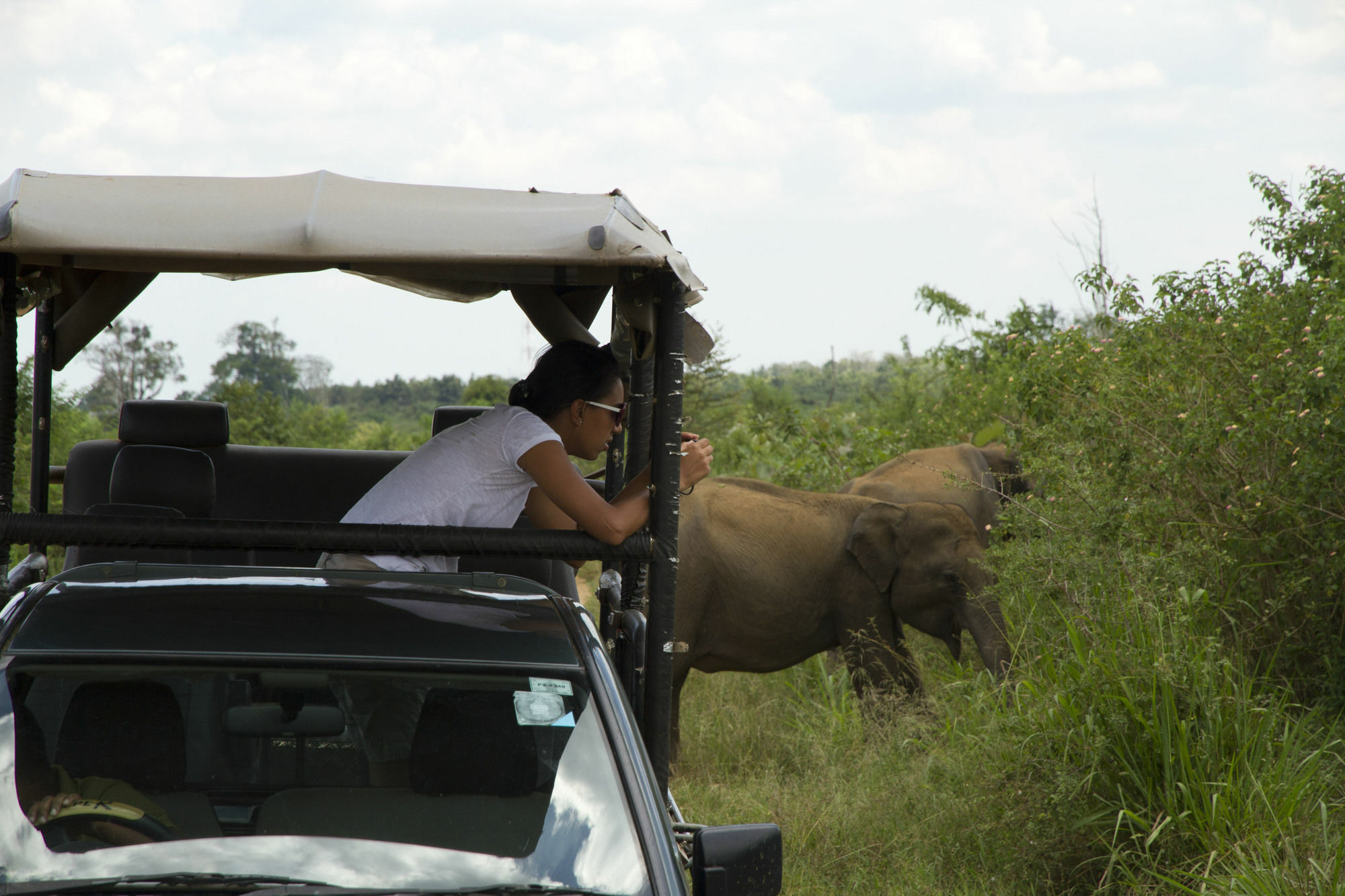Mahoora Tented Safari Camp Udawalawe Luaran gambar