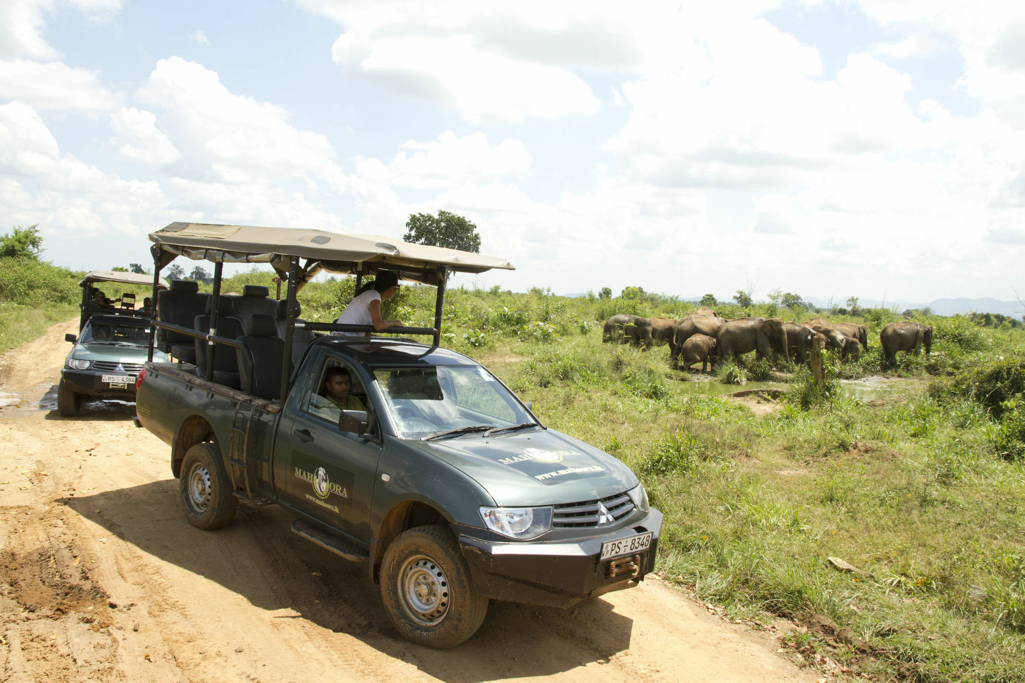 Mahoora Tented Safari Camp Udawalawe Luaran gambar