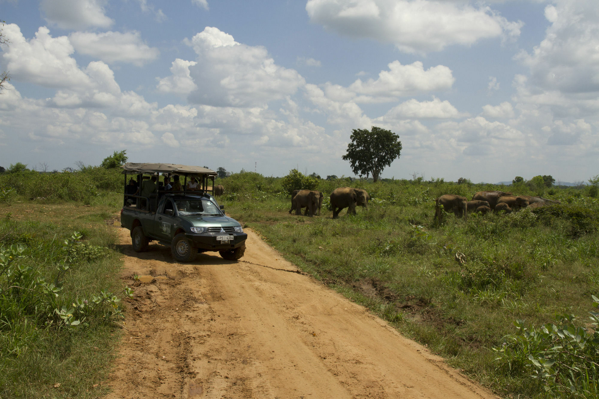 Mahoora Tented Safari Camp Udawalawe Luaran gambar